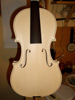 violino grezzo