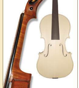 violino 